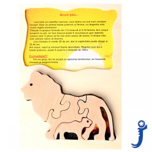 Jucarie ,,Acum Stiu despre Lei''